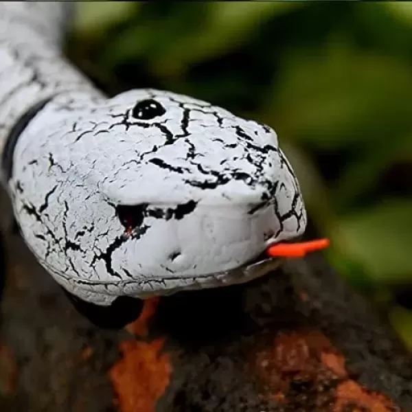 imageLiberty Imports 16 Inch Remote Control Rattle Snake Toy Realistic Reptile Robot with Egg Shaped Infrared Receiver RC Snake Prank Toy Ideal Gift for Kids or for Adults BlackWhite