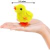 imageLiberty Imports 12 Pack WindUp Chicks  Fluffy Jumping Chicken Ducklings Bulk Wind Up Novelty Easter Party Favors Kids Toys