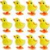 imageLiberty Imports 12 Pack WindUp Chicks  Fluffy Jumping Chicken Ducklings Bulk Wind Up Novelty Easter Party Favors Kids Toys