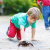 imageLiberty Imports RC Moving Tarantula Spider  Kids Wireless Remote Control Toy Great for Pranks and Halloween Decorations Realistic Scurrying Movement Glowing LED Eyes