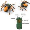 imageLiberty Imports RC Moving Tarantula Spider  Kids Wireless Remote Control Toy Great for Pranks and Halloween Decorations Realistic Scurrying Movement Glowing LED Eyes