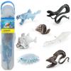 imageLiberty Imports 7 PCS Deep Sea Creatures Mini Figurines Set  Prehistoric Ocean Plastic Ancient Marine Animal Figures Party Decoration Montessori Toys for Kids Toddlers