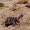 imageLiberty Imports 12 Piece Sea Turtle Animal Toys  Miniature Figurines  Unique Tortoise Toys Detailed and Hand Painted Reptiles Party Favor Decorations and Kids
