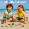 imageLiberty Imports 12 Piece Sea Turtle Animal Toys  Miniature Figurines  Unique Tortoise Toys Detailed and Hand Painted Reptiles Party Favor Decorations and Kids