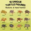 imageLiberty Imports 12 Piece Sea Turtle Animal Toys  Miniature Figurines  Unique Tortoise Toys Detailed and Hand Painted Reptiles Party Favor Decorations and Kids