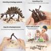 image:imageDig amp Discover Dino Triceratops Dinosaur Skeleton 3D Fossil Bones Excavation Science Educational Toy Kit for Kids ChildrenStegosaurus