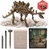 image:imageDig amp Discover Dino Triceratops Dinosaur Skeleton 3D Fossil Bones Excavation Science Educational Toy Kit for Kids ChildrenStegosaurus