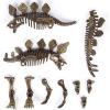 image:imageDig amp Discover Dino Triceratops Dinosaur Skeleton 3D Fossil Bones Excavation Science Educational Toy Kit for Kids ChildrenStegosaurus