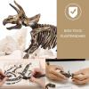 image:imageDig amp Discover Dino Triceratops Dinosaur Skeleton 3D Fossil Bones Excavation Science Educational Toy Kit for Kids ChildrenTriceratops