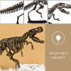 image:imageDig amp Discover Dino Triceratops Dinosaur Skeleton 3D Fossil Bones Excavation Science Educational Toy Kit for Kids ChildrenTyrannosaurus Rex