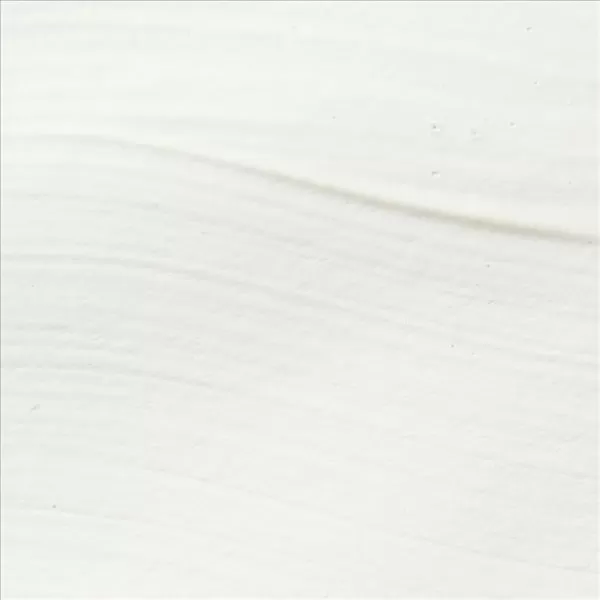 imageSax True Flow Heavy Body Acrylic Paint 12 Gallon Titanium White  439301 64 Fl Oz Pack of 1Titanium White