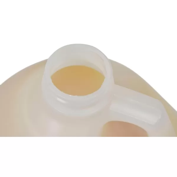 imageSax Tempera Gloss Varnish Gallon
