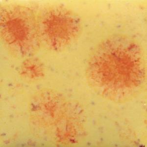 imageSax True Flow Crystal Magic Glaze  1 Pint  Citrus Splash