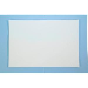 imageSax 100 Percent Sulphite Art Paper White 18quot L x 12quot W Pack of 50  401997