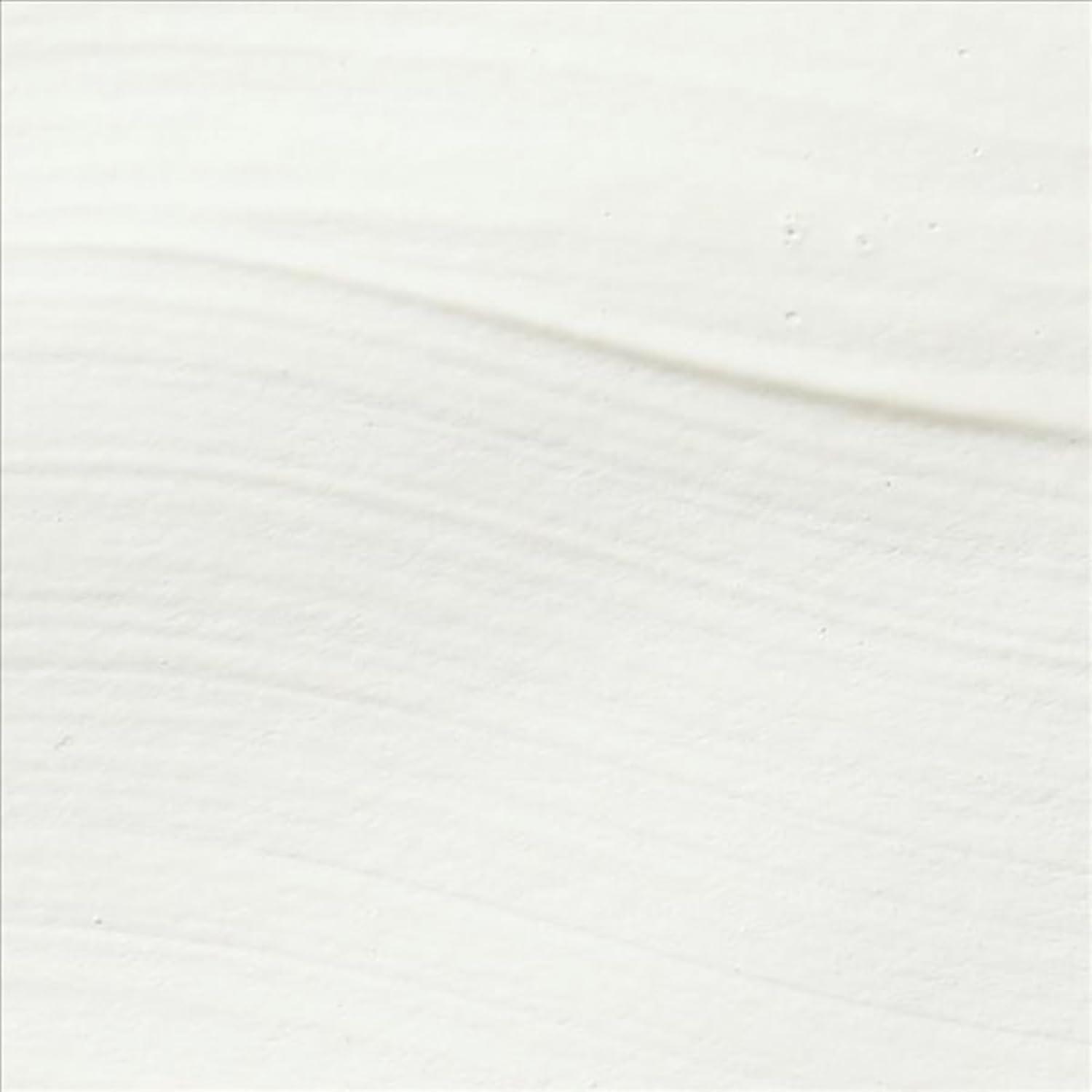 imageSax Heavy Body Acrylic Paint 12 Gallon Titanium White