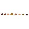 image:imageSax Washable Versatemp Tempera Paints Multicultural Colors Set of 8 Pints