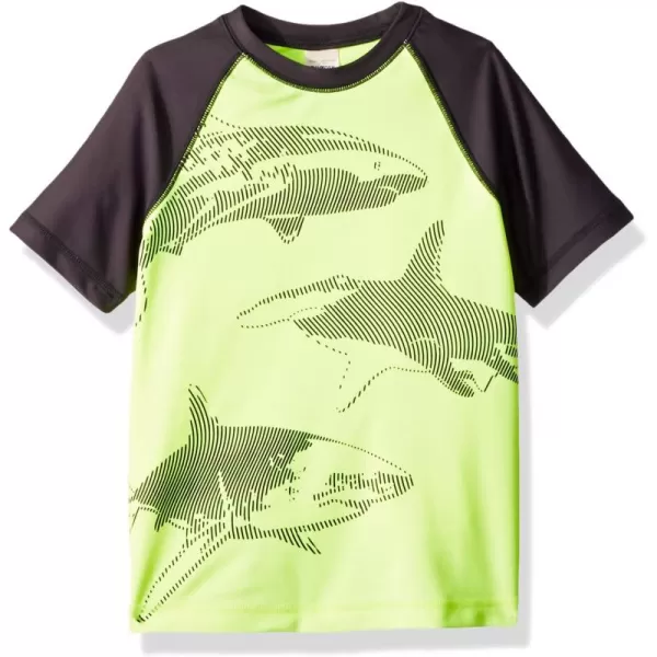 Yellow Shark