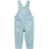 imageOshKosh BGosh Girls Worlds Best Overalls Green Floral 18M