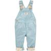 imageOshKosh BGosh Girls Worlds Best Overalls Green Floral 18M