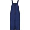 imageOshKosh Bgosh Boys Toddler and Kids Insulated Skibib Snow PantNavy