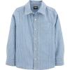 Blue Stripe Print