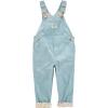 imageOshKosh BGosh Girls Worlds Best Overalls Green Floral 4T