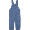 imageOSHKOSH BGOSH Baby Boys Worlds Best OverallsBlue Printed