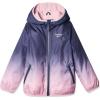 Pink Blue Ombre