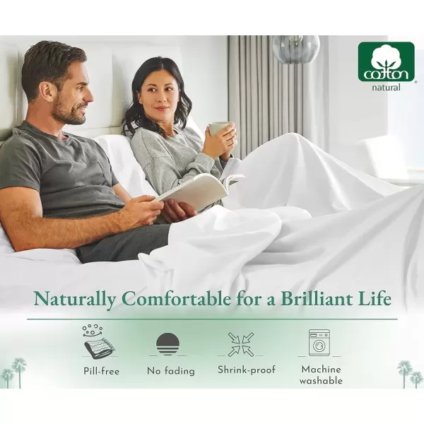 image100 Pure Cotton Flat Sheet  600 Thread Count Soft and Crisp Breathable Hotel Luxury Top Sheet Only Cooling Sheets Ultra Premium Sateen Weave Twin Bed Sheets 1 Piece Flat Sheet Bright White03  Light Grey