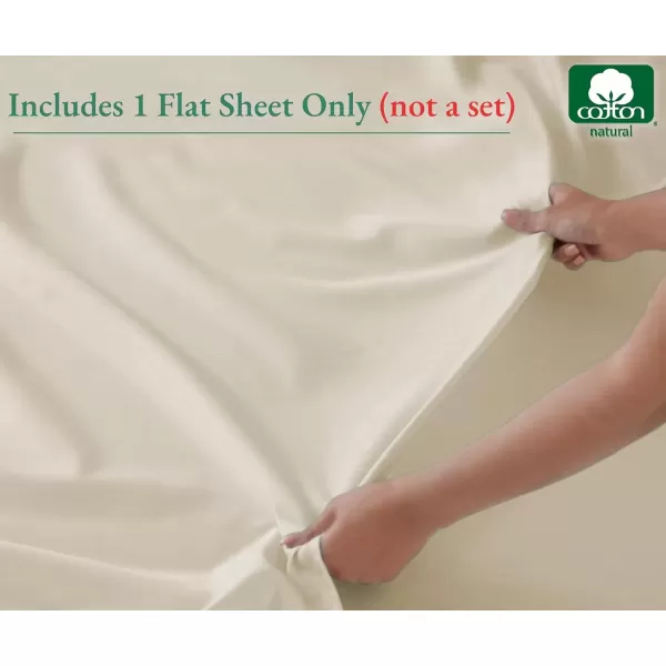image100 Pure Cotton Flat Sheet  600 Thread Count Soft and Crisp Breathable Hotel Luxury Top Sheet Only Cooling Sheets Ultra Premium Sateen Weave Twin Bed Sheets 1 Piece Flat Sheet Bright White02  Ivory