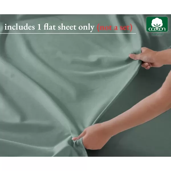 image100 Pure Cotton Flat Sheet  600 Thread Count Soft and Crisp Breathable Hotel Luxury Top Sheet Only Cooling Sheets Ultra Premium Sateen Weave Twin Bed Sheets 1 Piece Flat Sheet Bright White06  Sage Green
