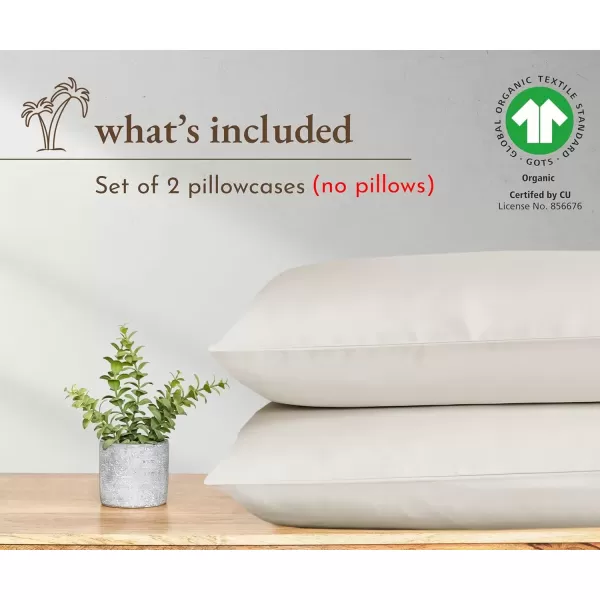imageCalifornia Design Den 100 Organic Cotton Pillow Cases QueenStandard Set of 2 Authentic GOTS Certified Soft ampamp Cooling Percale Weave Cotton Pillowcases Bright WhiteNatural Ivory