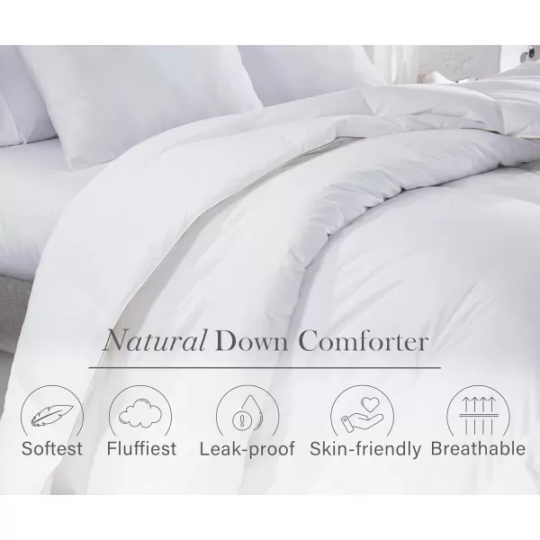 imageCalifornia Design Den Queen Size Comforter Duvet Insert  Cozy Luxury Down Alternative Quilted Extra Fluffy Soft and Cooling Machine Washable with Corner Tabs  WhiteNatural Down