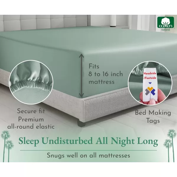 imageLuxuriously Soft Twin Fitted Sheet 600 Thread Count Cooling Sheets Sateen Weave 100 Cotton Sheets NoPop Elastic For Snug Fit Deep Pocket Bottom Sheet With Head ampamp Foot Tag Bright White10  Sage Green