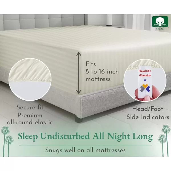 imageLuxuriously Soft Twin Fitted Sheet 600 Thread Count Cooling Sheets Sateen Weave 100 Cotton Sheets NoPop Elastic For Snug Fit Deep Pocket Bottom Sheet With Head ampamp Foot Tag Bright White04  Striped Ivory
