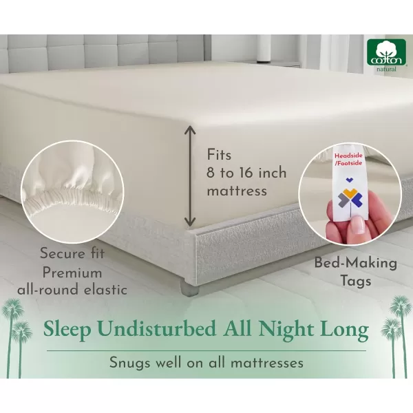 imageLuxuriously Soft Twin Fitted Sheet 600 Thread Count Cooling Sheets Sateen Weave 100 Cotton Sheets NoPop Elastic For Snug Fit Deep Pocket Bottom Sheet With Head ampamp Foot Tag Bright White03  Ivory