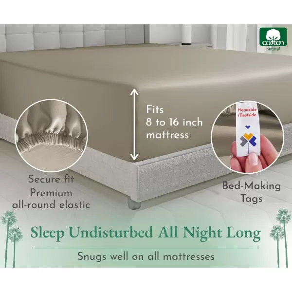 imageLuxuriously Soft Twin Fitted Sheet 600 Thread Count Cooling Sheets Sateen Weave 100 Cotton Sheets NoPop Elastic For Snug Fit Deep Pocket Bottom Sheet With Head ampamp Foot Tag Bright White11  Taupe