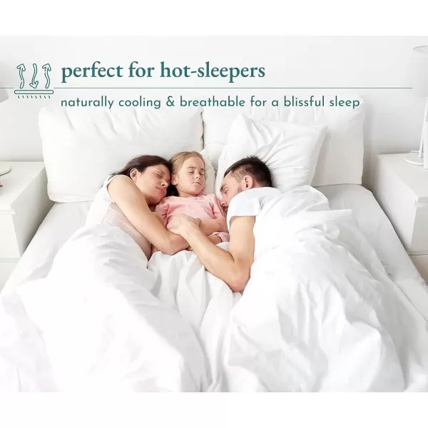 imageLuxury Split King Adjustable Bedsheets Set Soft 100 Cotton 500 Thread Count Snug Fit Includes TwinXL Fitted Sheets Beats Egyptian Quality Claims Split King Fresh Navy Blue15  Khaki Striped
