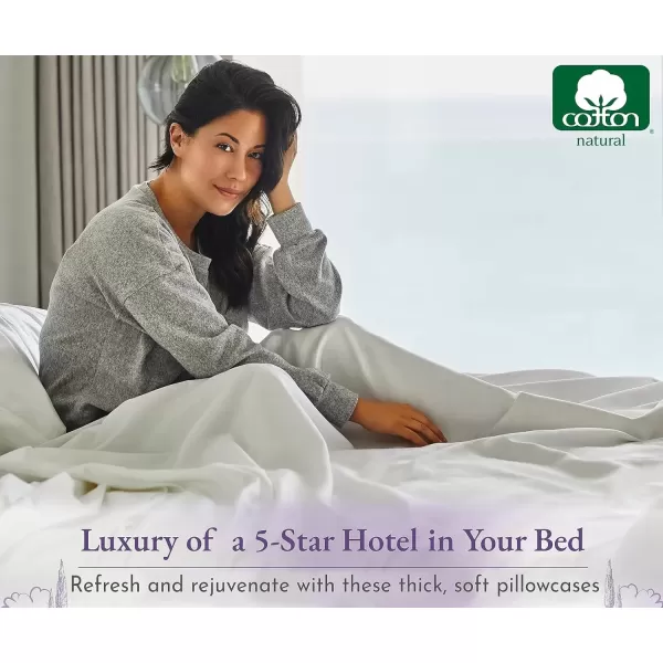 imageCalifornia Design Den 1000 Thread Count Soft ampamp Smooth 100 Cotton Sateen Weave HotelQuality Set of 2 Classic Style Bright White Pillow Cases Standard Size Fits Std ampamp Queen Size PillowsSage Green