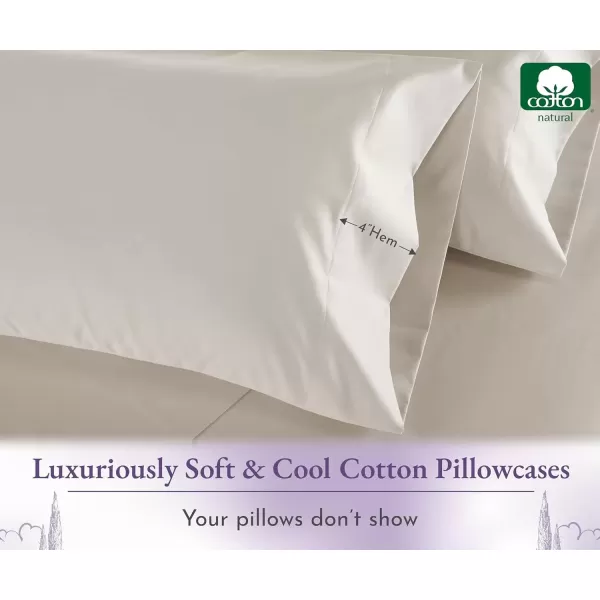 imageCalifornia Design Den 1000 Thread Count Soft ampamp Smooth 100 Cotton Sateen Weave HotelQuality Set of 2 Classic Style Bright White Pillow Cases Standard Size Fits Std ampamp Queen Size PillowsBeige