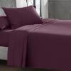 Soft Plum