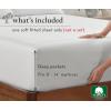 imageCalifornia Design Den 2Pack Twin Fitted Sheets Only  Soft 100 Cotton Durable Sateen Deep Pocket White Twin Fitted Sheet with AllAround Elastic  White02  Ivory