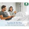 imageCalifornia Design Den Bulk Pack of 8 Twin XL Size Fitted Sheets Only  400 Thread Count 100 Cotton Sateen White16  Green Sage