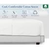 imageCalifornia Design Den Cal King Size Flat Sheet Soft 400 Thread Count 100 Cotton Sheet SateenCooling ampamp Breathable Bed Sheets White Flat Sheet Single California King Flat Sheet Only Bright White02  Ivory