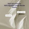 imageCalifornia Design Den StandardQueen Pillow Cases Set of 2  Luxury 100 Egyptian Cotton Crisp Percale Soft ampamp Breathable StandardQueen Size Pillow Cases  WhiteBeige