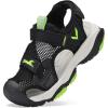 8297-black/Green