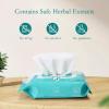 imageGrownsy Longlasting Soothing Perineal Cooling Pad Liners 28PCS Postpartum Cooling Pad Liner for Postpartum recovery Perineal Hemorrhoid Cooling Wipe for Mom Postpartum Essentials Care