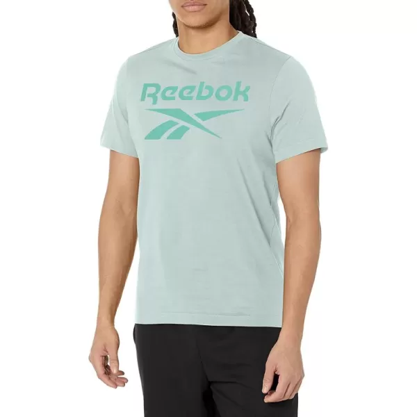 imageReebok Mens Big Logo Tee Seaside Grey with Classic Teal Logo