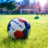 imageReebok Recreational Soccer Ball Premium TPU Composite Leather Cover Soft Touch EVA Foam Backing Includes Pump ampamp Needle VR3K Series
