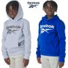 imageReebok Boys Fashion Hoodie Sweatshirts 2 Pack Fleece Hoodies for Boys Size 820Lt Grey Heather  Blue